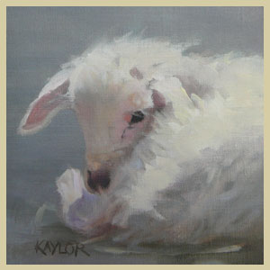 Another Little Lamb