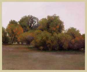 Cherry Creek Trail