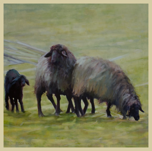 Four Sheep?