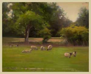 Harvey's Pasture