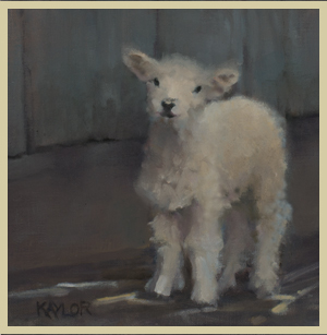 Lincoln Lamb #1