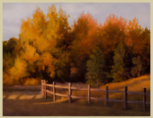Out My Back Door