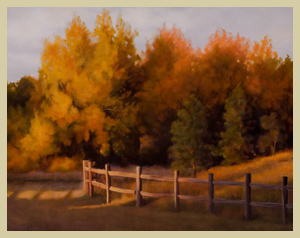 Out My Back Door