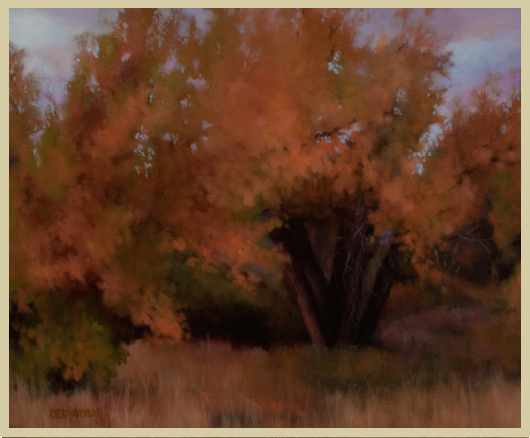 Piney Creek Tree