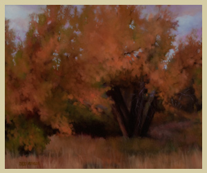 Piney Creek Tree