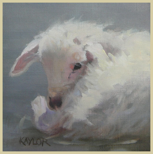 Another Little Lamb