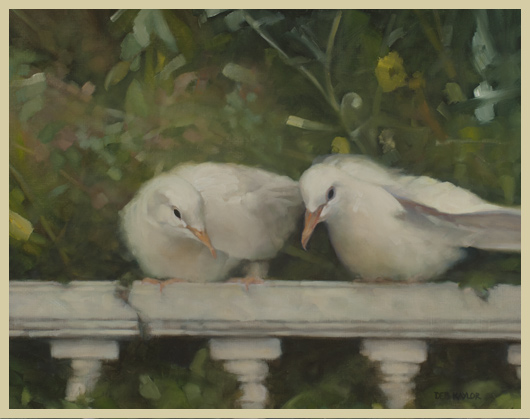 Doves