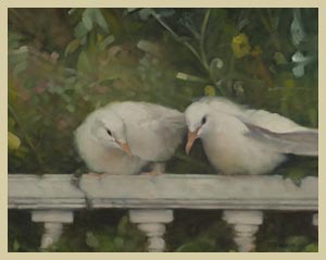 Doves