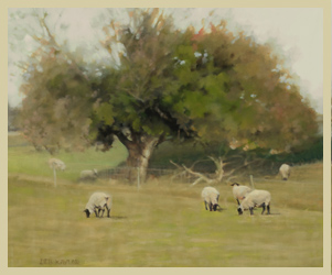 Fall Pasture