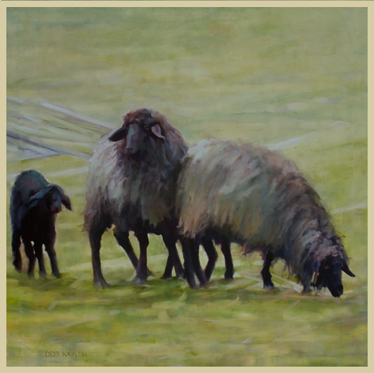 Four Sheep?